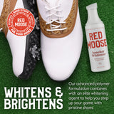 Golf Shoe Cleaning Kit