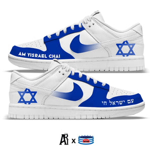 "Am Yisrael Chai" Nike Dunk Low Shoes- Size 10 Men's/11.5 Women's